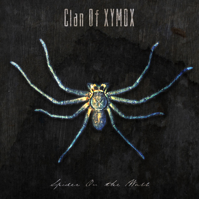 Spider On the Wall album cover