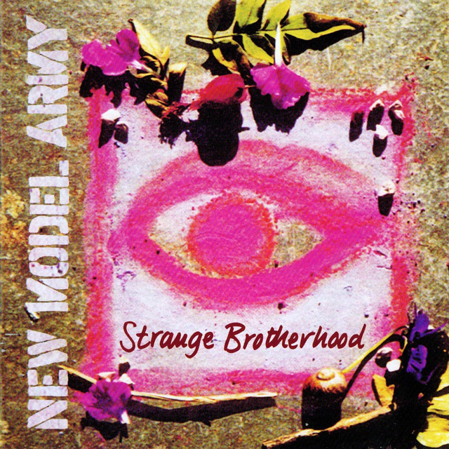 Strange Brotherhood album cover