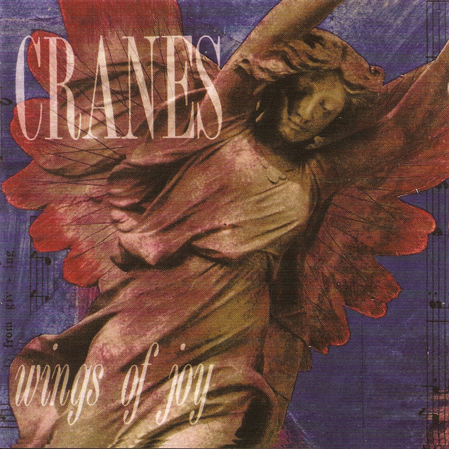 Wings Of Joy (Expanded Edition) album cover