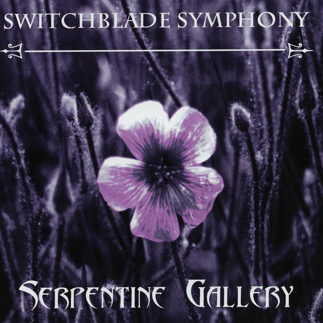 Serpentine Gallery album cover