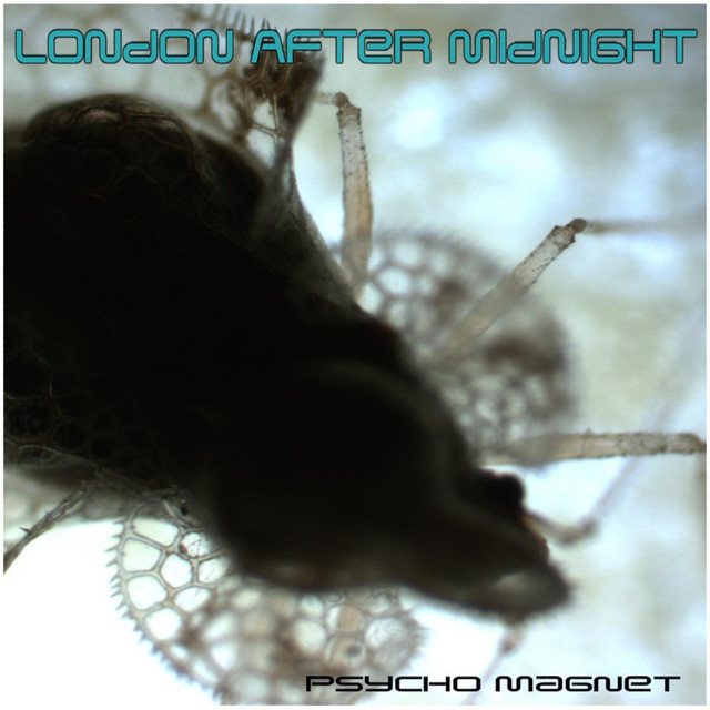 Psycho Magnet album cover