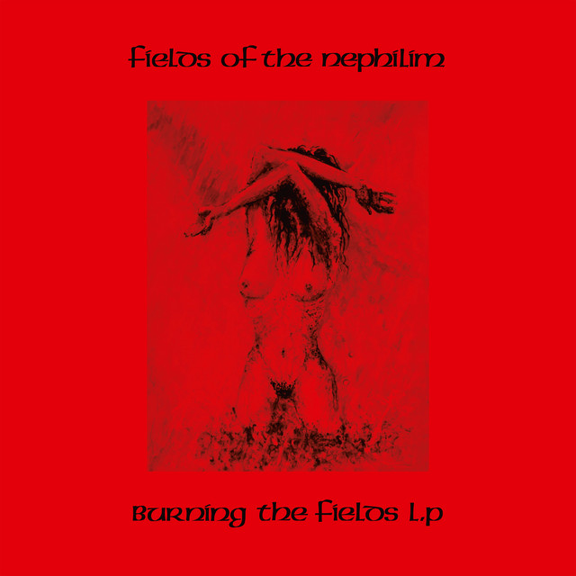 Burning the Fields LP album cover