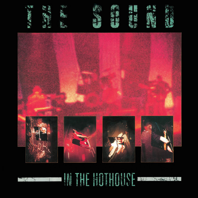 In the Hothouse (Live) album cover