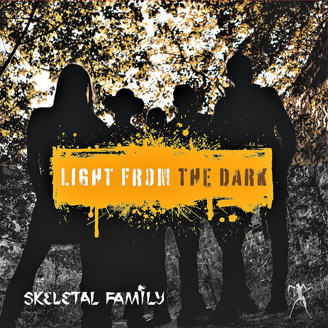 Light from the Dark album cover