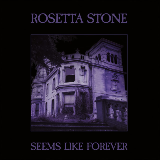 Seems Like Forever album cover