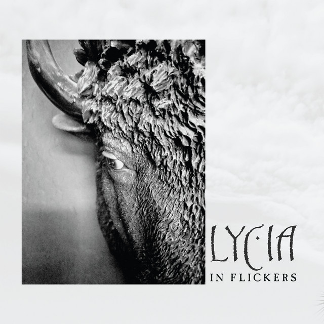 In Flickers album cover