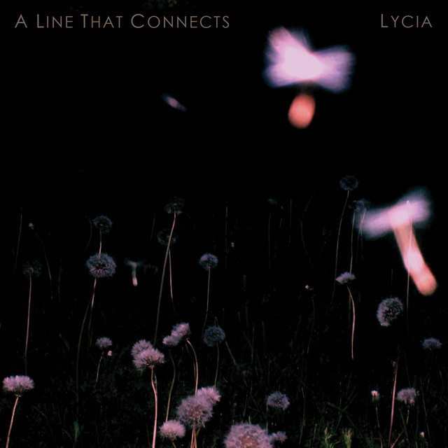 A Line That Connects album cover
