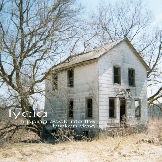 Tripping Back Into the Broken Days album cover
