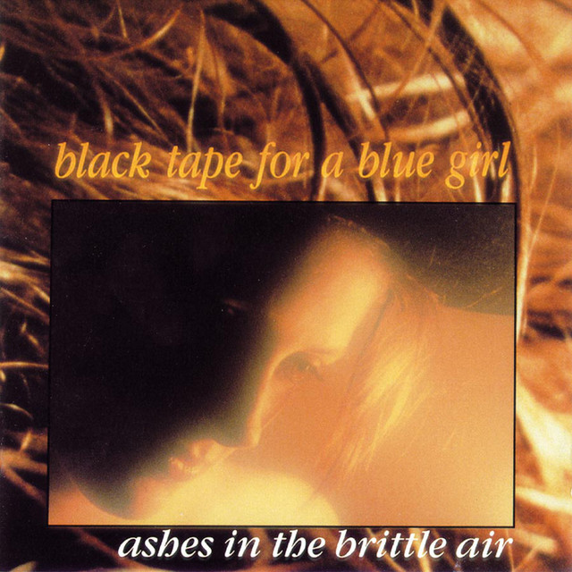 Ashes In The Brittle Air album cover