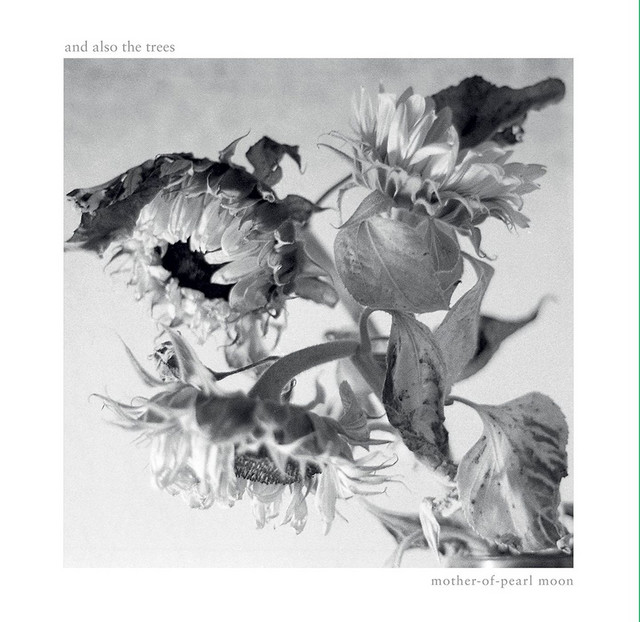 Mother-of-Pearl Moon album cover