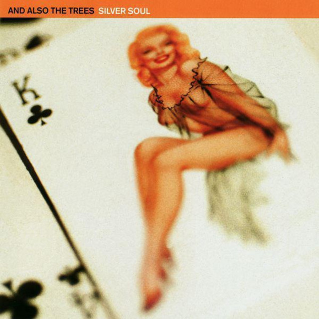 Silver Soul album cover