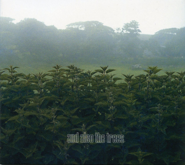 And Also The Trees album cover