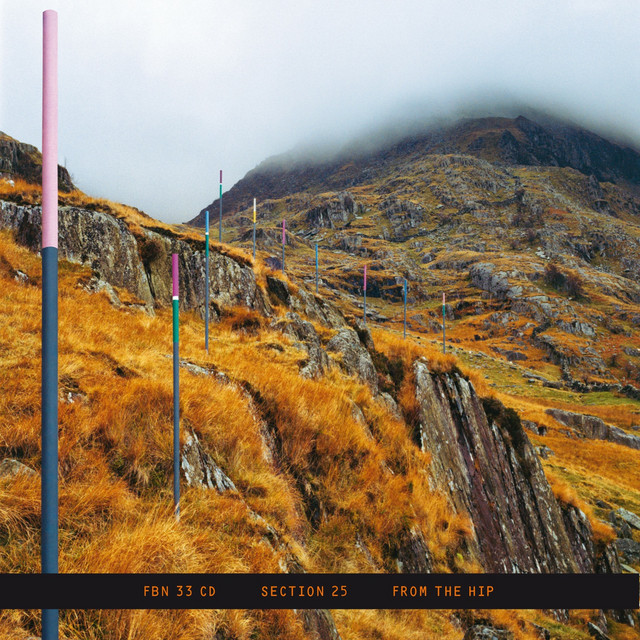 From the Hip: 30th Anniversary Edition album cover
