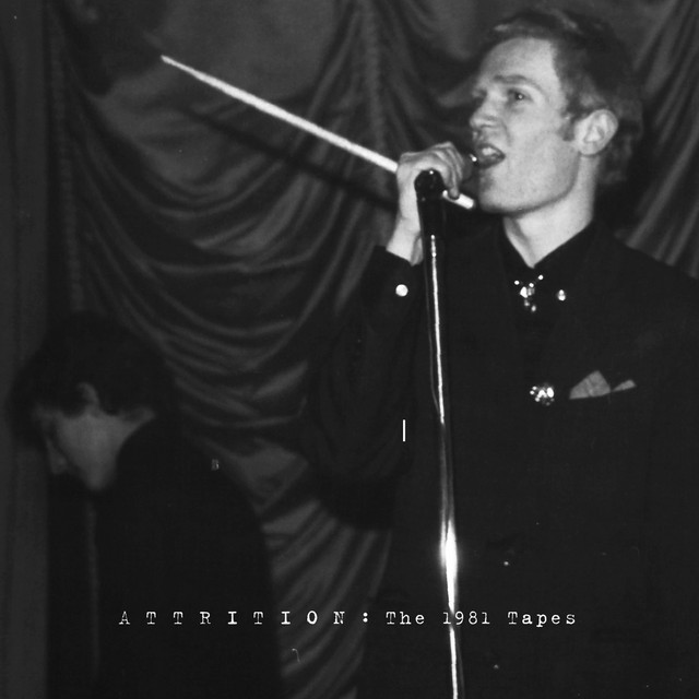 The 1981 Tapes album cover