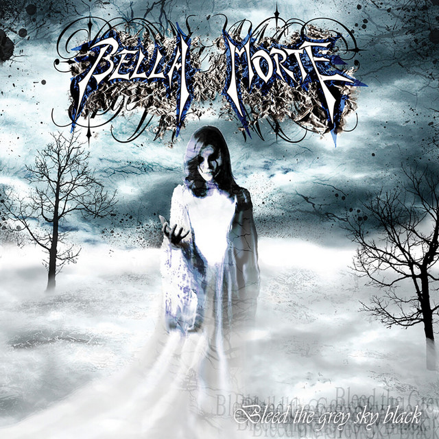 Bleed The Grey Sky Black album cover