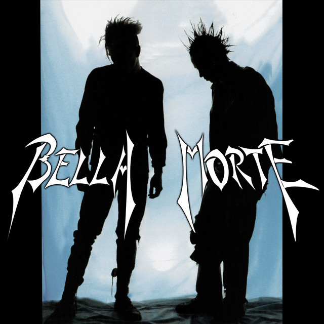 Where Shadows Lie album cover