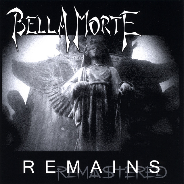 Remains album cover