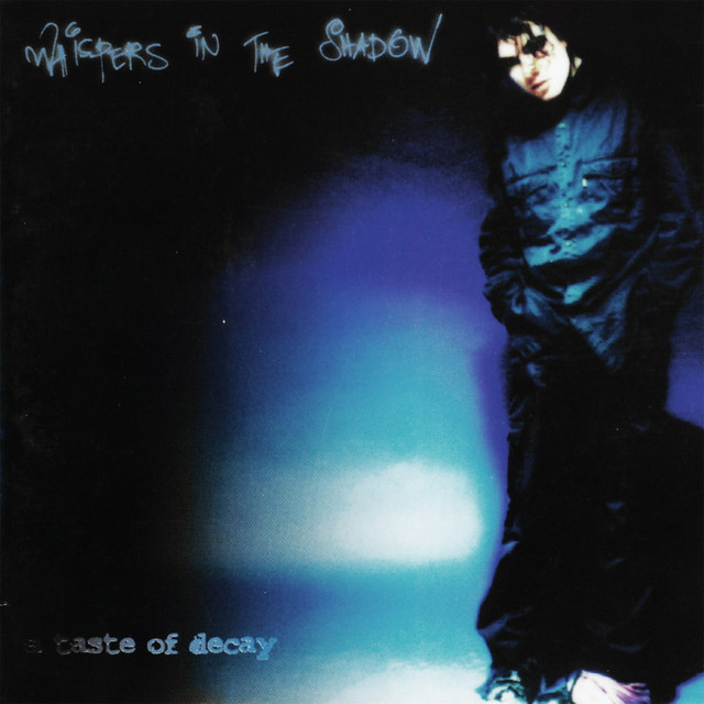A Taste of Decay album cover
