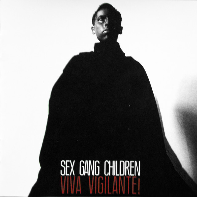 Viva Vigilante! album cover