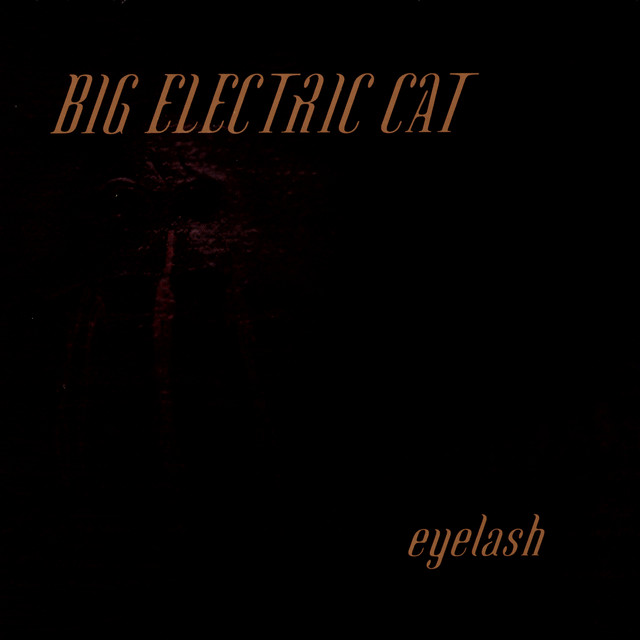 Eyelash album cover