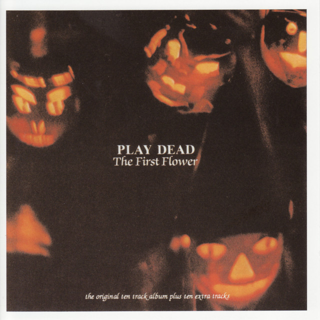 The First Flower album cover