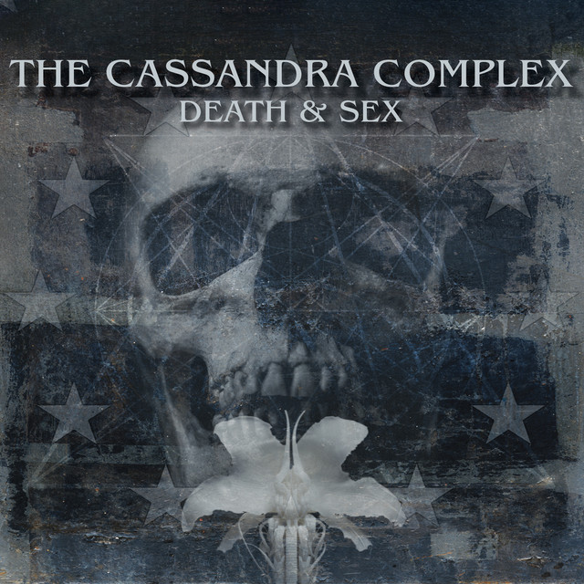 Heet Sound EBow Plus as heard on Death & Sex (CX40 Version) by The Cassandra Complex (2024)