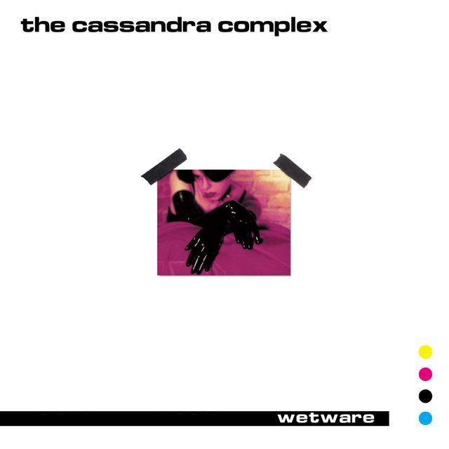 Korg M1 as heard on Software (Wetware 2019 Remaster) by The Cassandra Complex (2019)