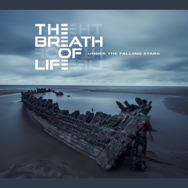 Under the Falling Stars album cover