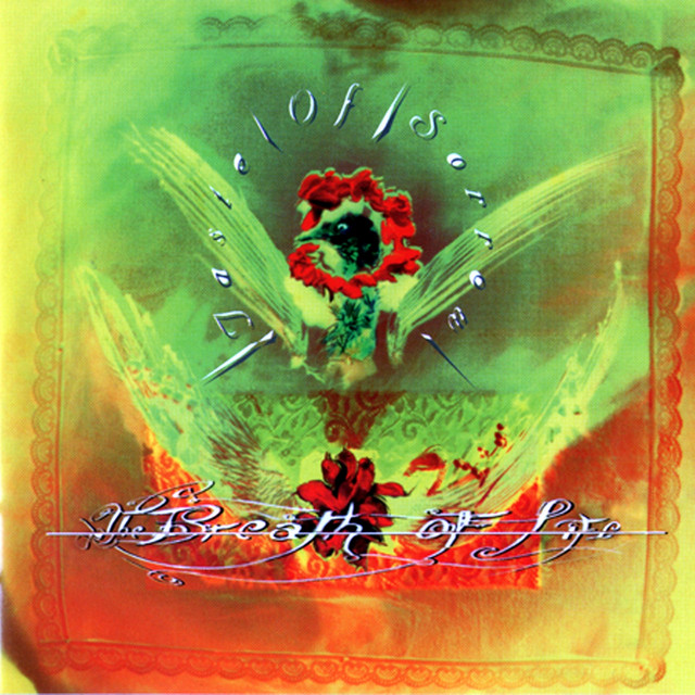 Taste of Sorrow album cover
