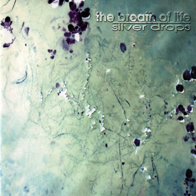 Silver Drops album cover