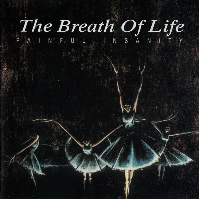 Painful Insanity album cover