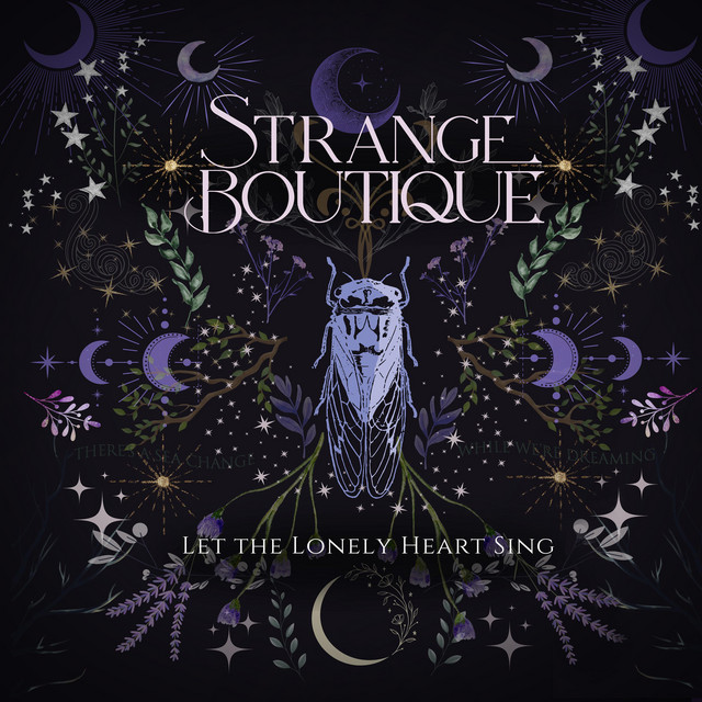 Let The Lonely Heart Sing album cover