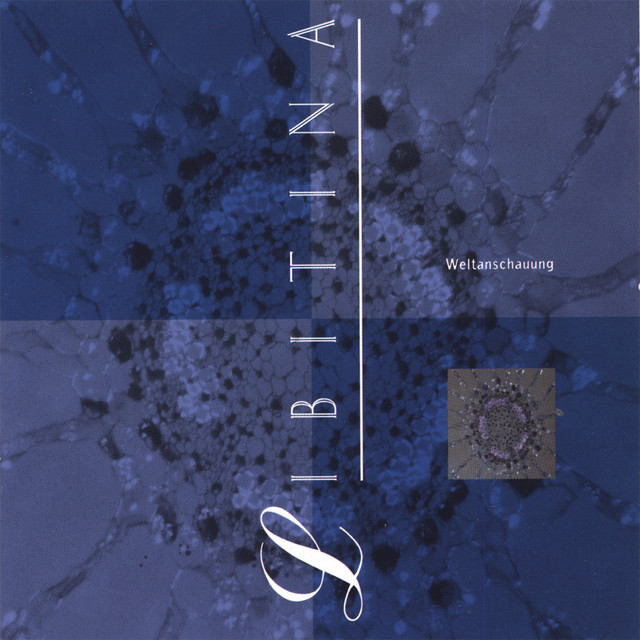 Weltanschauung album cover