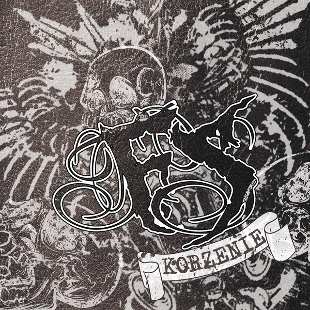 Korzenie album cover