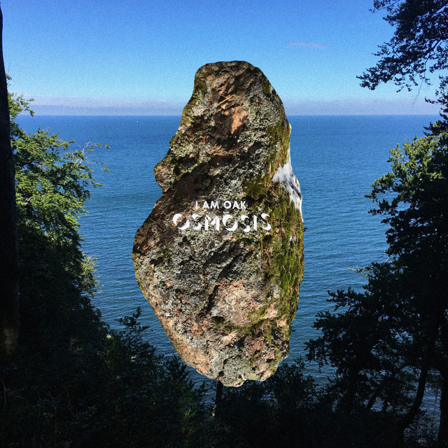 Osmosis album cover