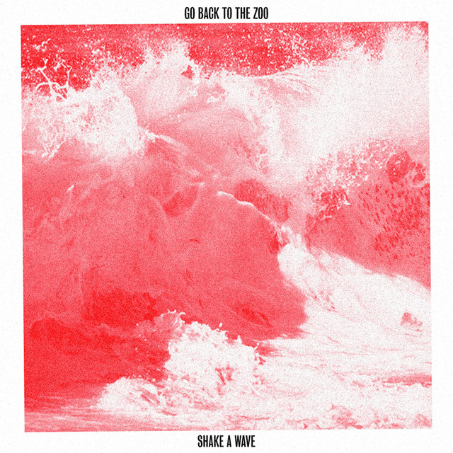 Shake A Wave album cover