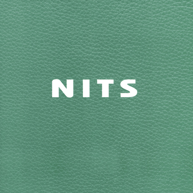 Nest album cover