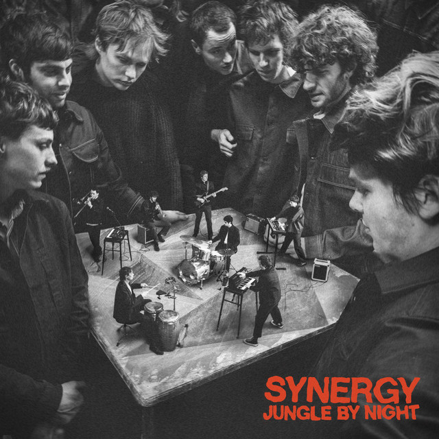 Synergy album cover
