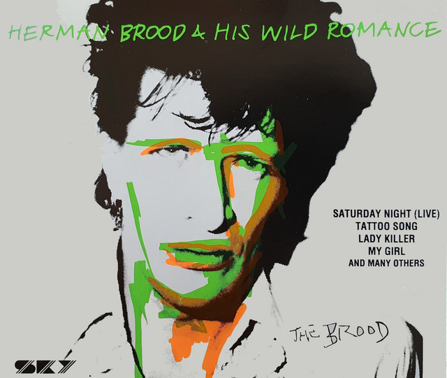 Herman Brood & His Wild Romance album cover