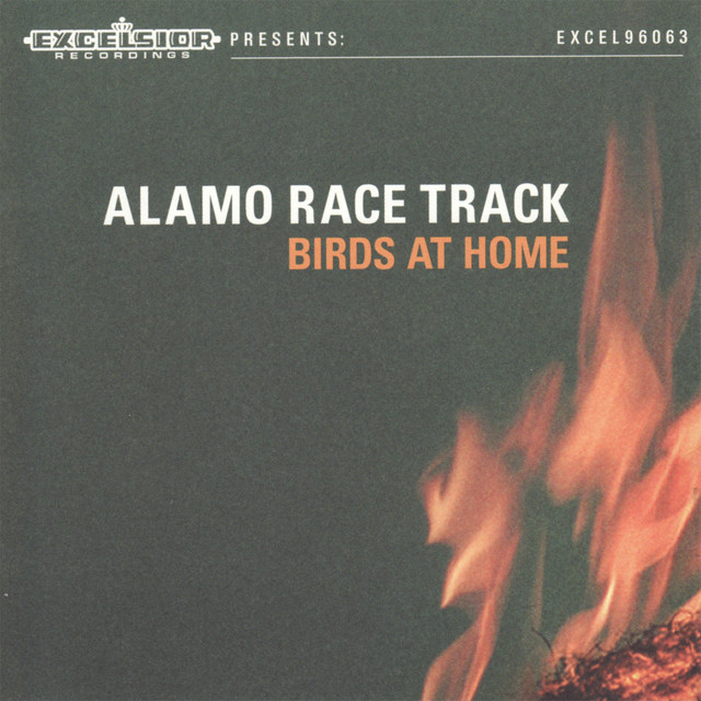 Birds at Home album cover