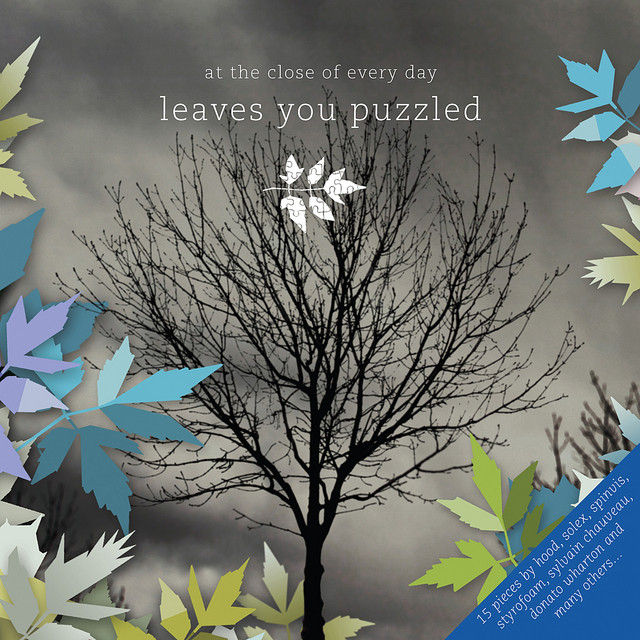 Leaves you puzzled album cover