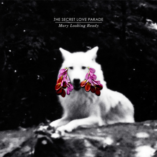 Mary Looking Ready album cover