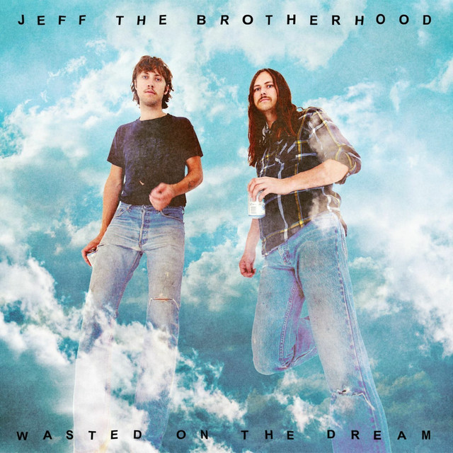 Wasted on the Dream album cover