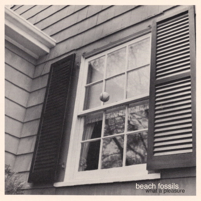 What a Pleasure album cover