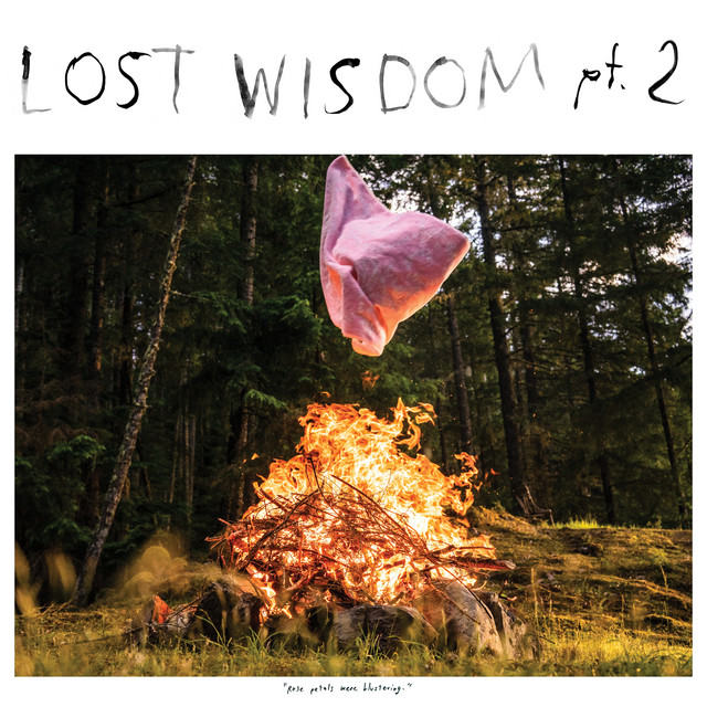 Lost Wisdom, Pt. 2 album cover