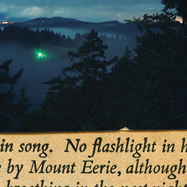 No Flashlight album cover