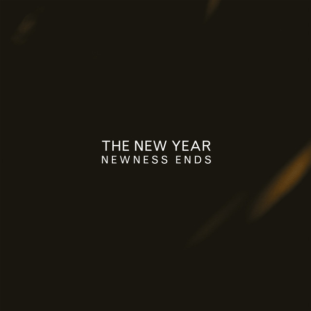 Newness Ends album cover