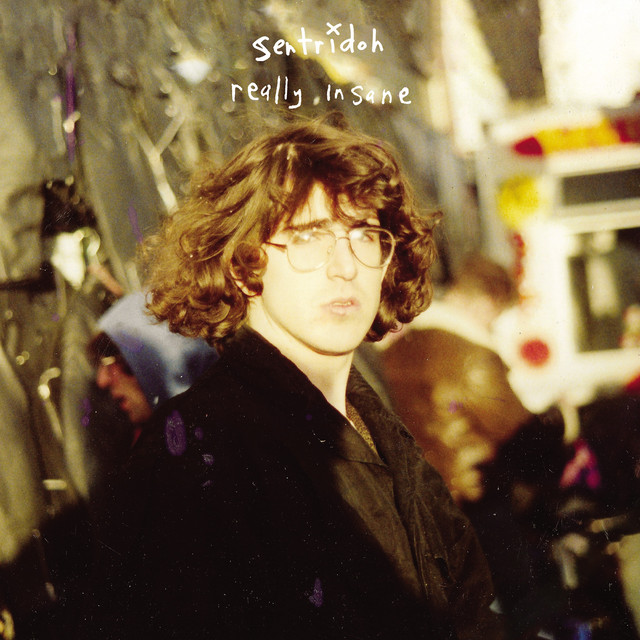 Really Insane - A Lou Barlow Compendium album cover
