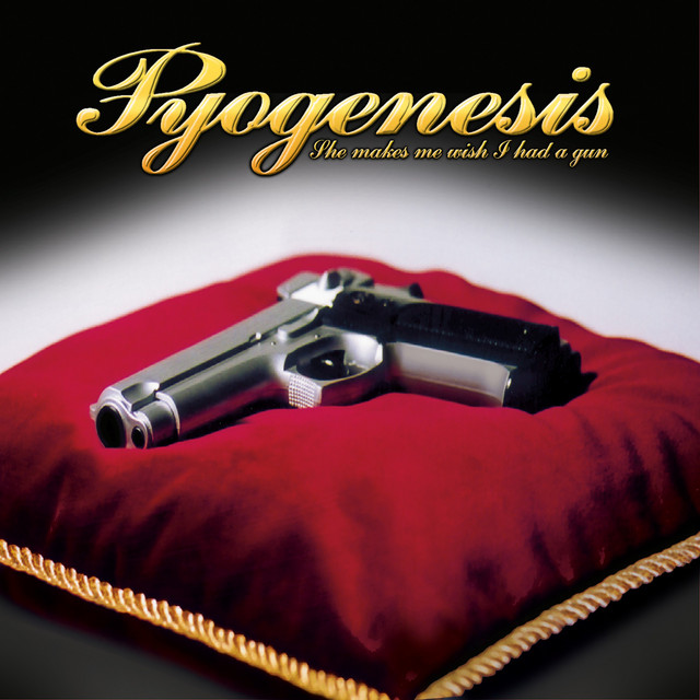 She Makes Me Wish I Had a Gun album cover