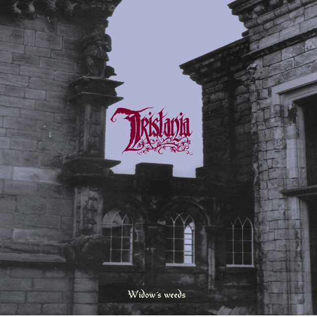 Widow's Weeds album cover